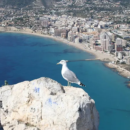 Miramar 180m From Cala Calalga & 7 Min From La Fossa Ac Wifi * カルプ